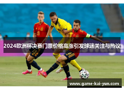 2024欧洲杯决赛门票价格高涨引发球迷关注与热议